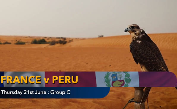 Tiên tri nổi tiếng dự đoán kết quả, tỉ số Pháp vs Peru