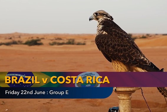 Tiên tri dự đoán kết quả, tỉ số Brazil vs Costa Rica