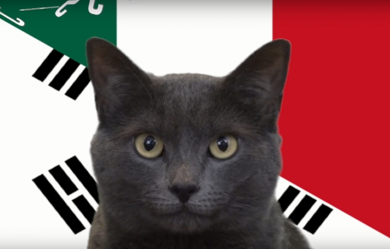 Mèo tiên tri dự đoán kết quả Hàn Quốc vs Mexico