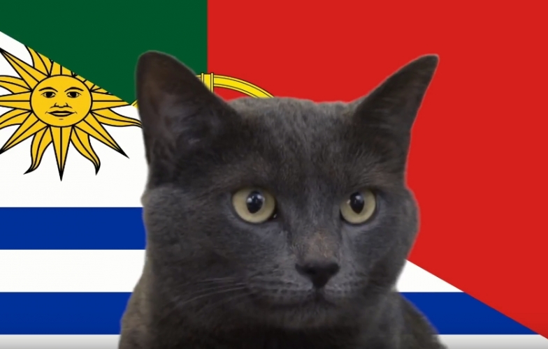 Mèo tiên tri dự đoán Bồ Đào Nha vs Uruguay: Nên bắt Ronaldo