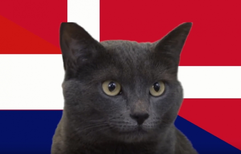 Mèo tiên tri dự đoán kết quả Croatia vs Đan Mạch