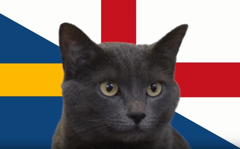 Mèo tiên tri dự đoán Anh vs Thụy Điển: Khó có bất ngờ