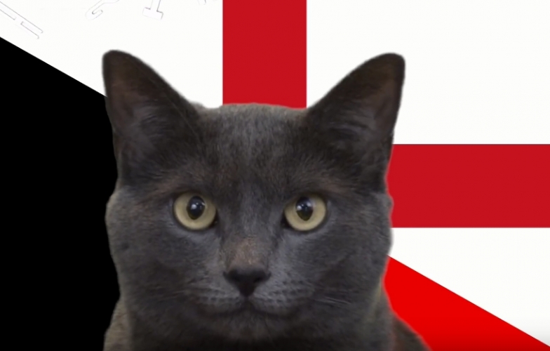 Mèo tiên tri dự đoán kết quả Anh vs Bỉ: Cú sốc với dàn sao 
