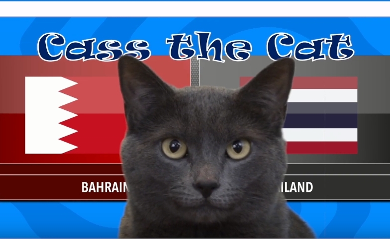 Mèo tiên tri dự đoán kết quả Thái Lan vs Bahrain