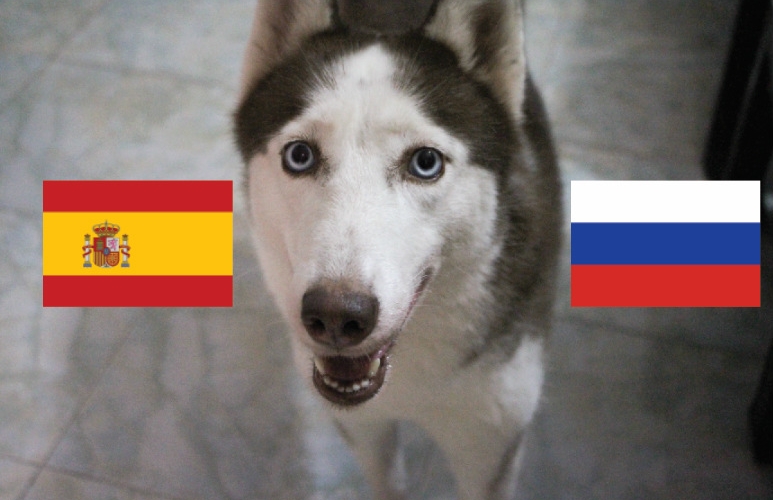 Chó tiên tri Loki dự đoán kết quả Tây Ban Nha vs Nga: Chuẩn xác