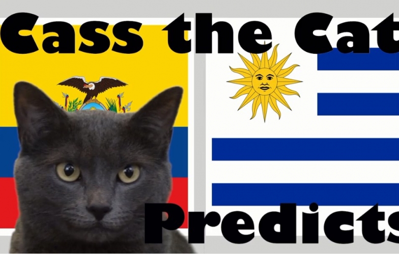 Mèo tiên tri dự đoán Uruguay vs Ecuador: Mở màn bảng C bất ngờ