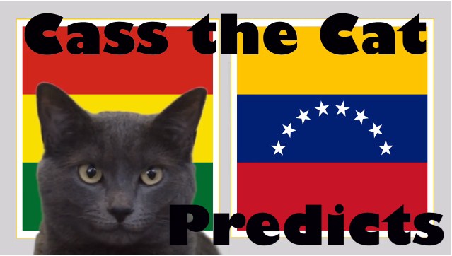 Mèo tiên tri dự đoán Bolivia vs Venezuela: Niềm vui bất ngờ 