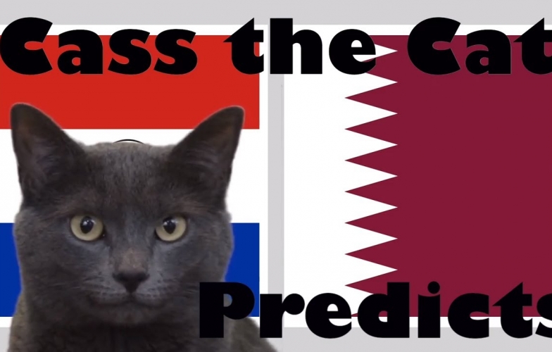 Mèo tiên tri dự đoán kết quả Paraguay vs Qatar: 3 điểm cho đại diện châu Á