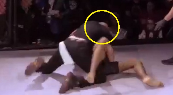 VIDEO: Võ sĩ bị trọng tài hạ knock-out vì không hiểu luật