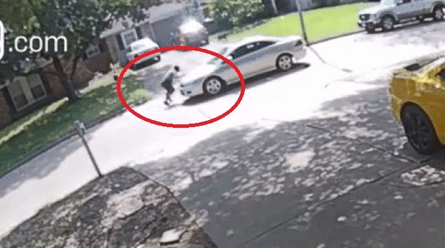 VIDEO: Anh chàng 'đen đủi' vừa bị chó đuổi, vừa bị xe tông