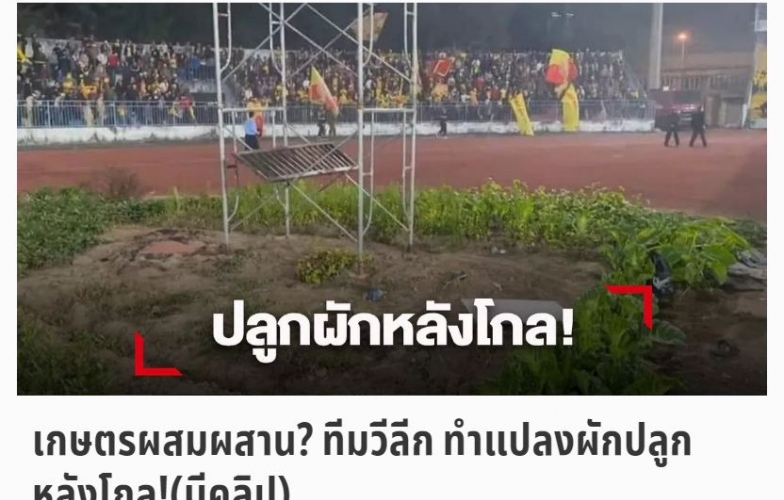 Báo Thái mỉa mai khi CLB V.League dùng SVĐ để trồng rau