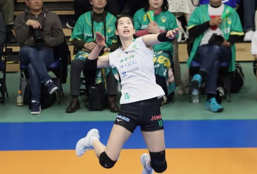 Trực tiếp bóng chuyền Gunma Green Wings vs Toray Arrows, 13h05 hôm nay 8/3