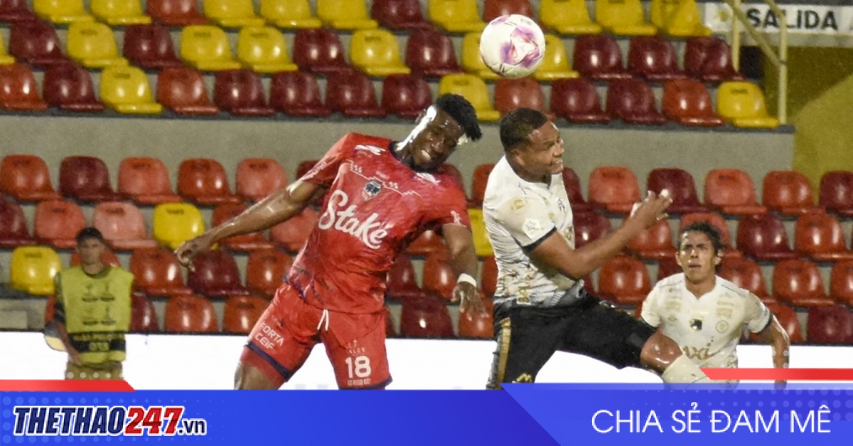 Nhận định Aguilas vs Llaneros: Đại chiến top đầu