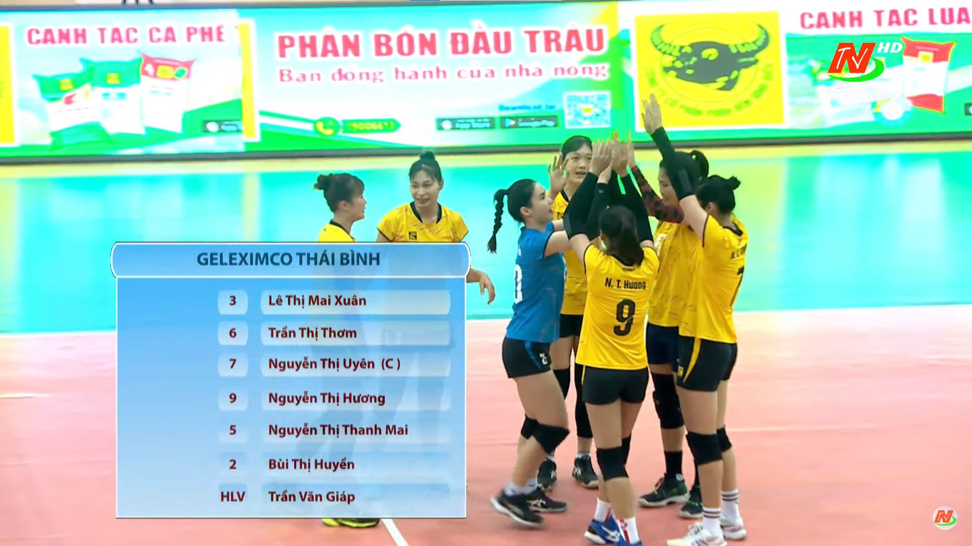 Trực tiếp bóng chuyền Geleximco Thái Bình vs XMLS Thanh Hóa, 14h00 ngày 29/2 (LINK HD) 413423