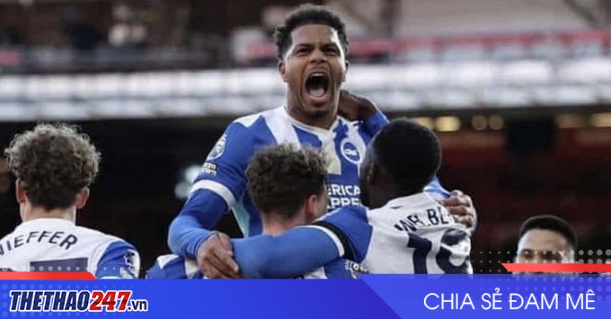 Nhận định Annecy vs Brighton: Đẳng cấp Premier League lên tiếng