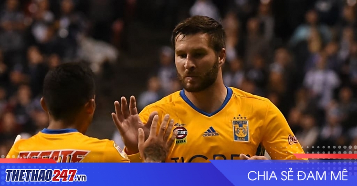 Nhận định Atlas vs Tigres UANL: Tìm lại chính mình