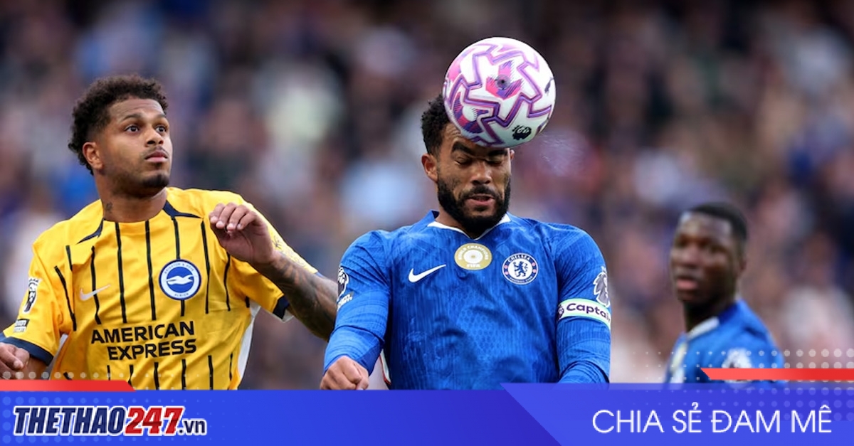 Nhận định Chelsea vs Brighton: Trận chiến tưng bừng