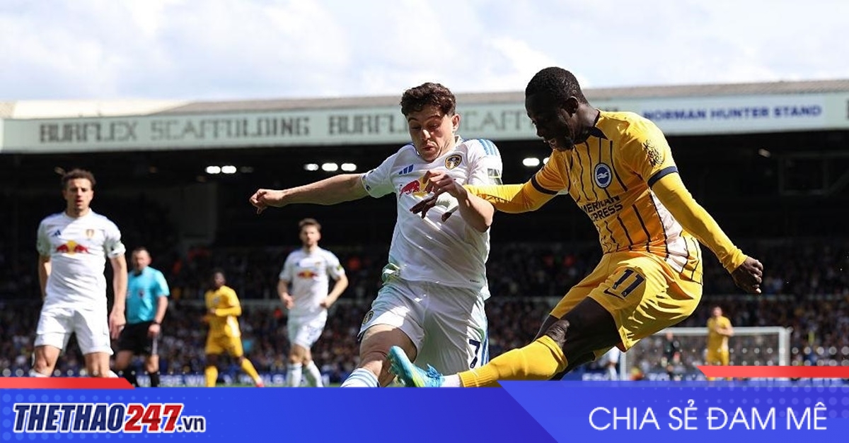 Nhận định Brighton vs Leeds: Tìm lại niềm vui