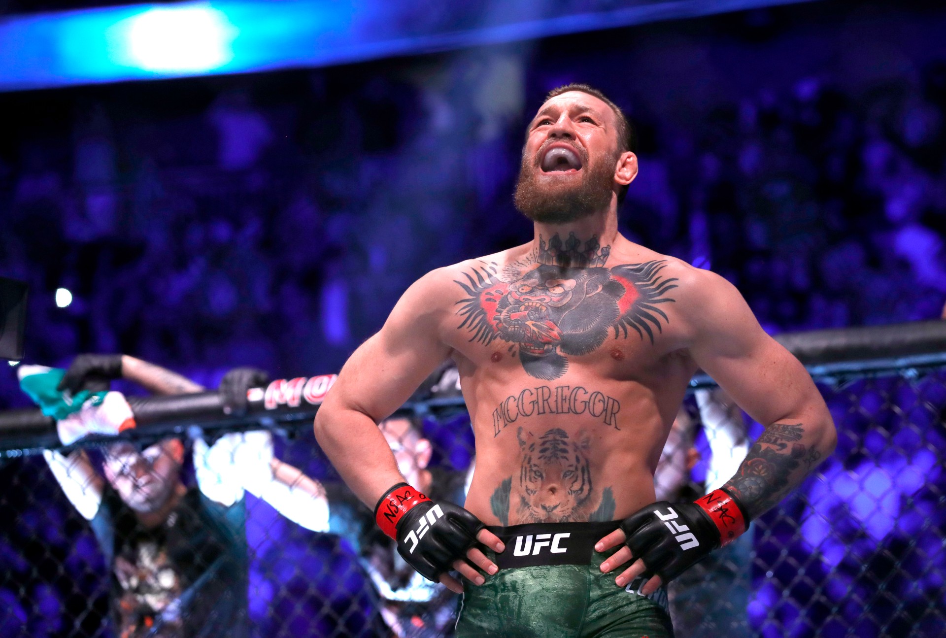 conor-mcgregor_1isw3bq5piuwt1apf1k1jqgtcu