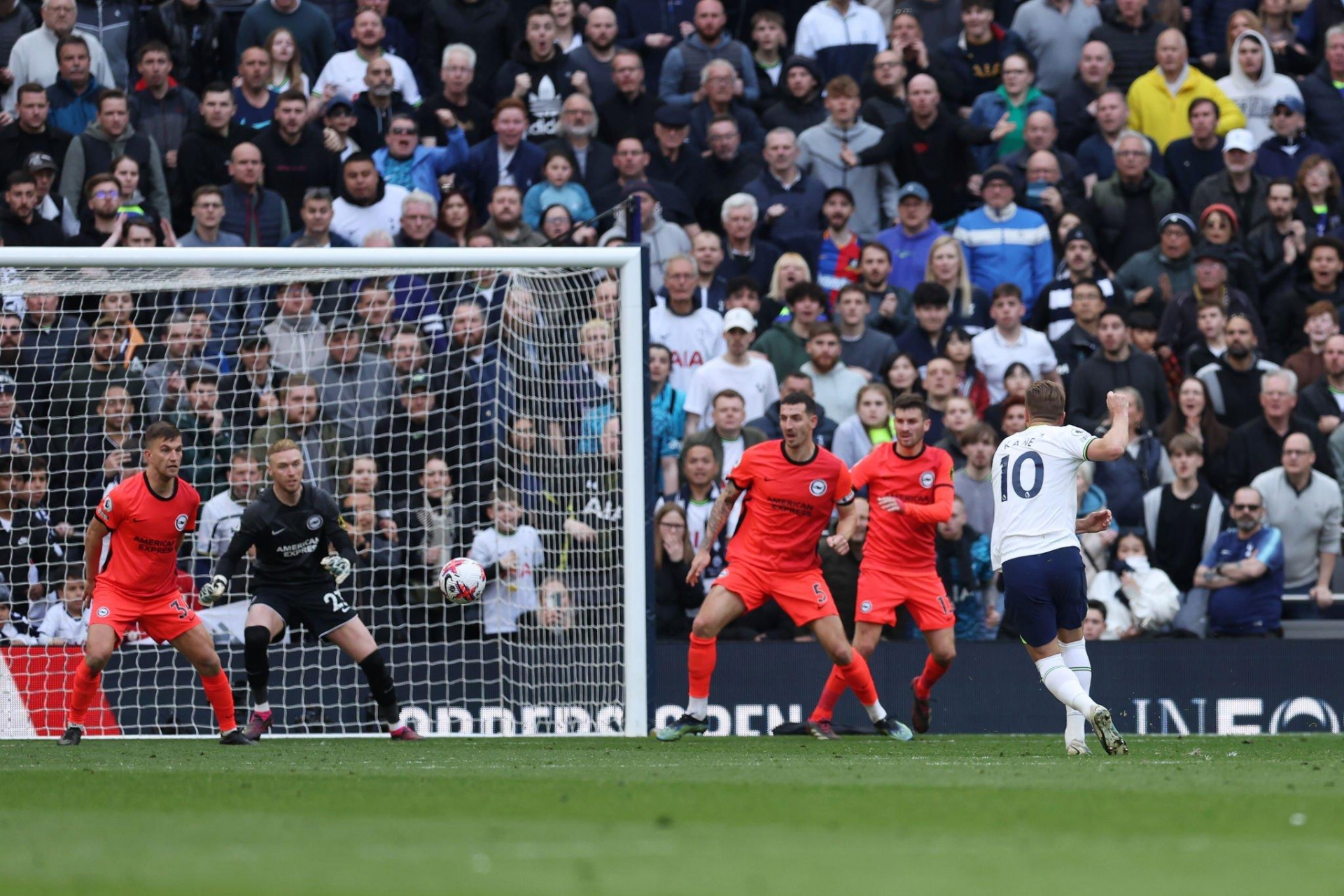 Trực tiếp Tottenham 2-1 Brighton: Tottenham vươn lên dẫn trước 266999