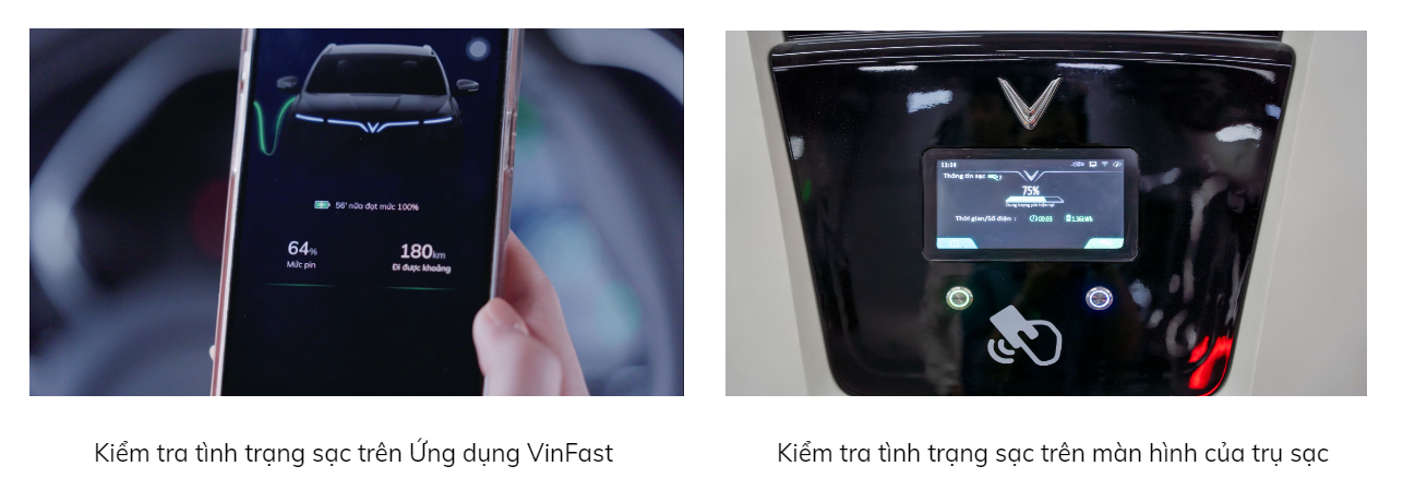 Bảng giá xe VinFast mới nhất tại Việt Nam tháng 8/2023 312646