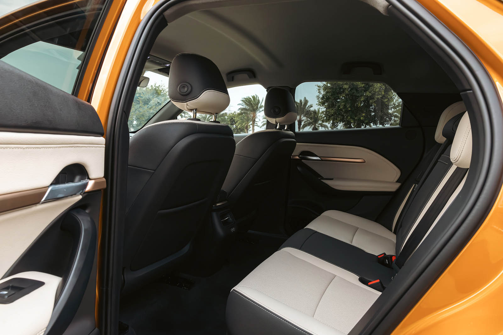 vf-6-1-16959857210892101324753