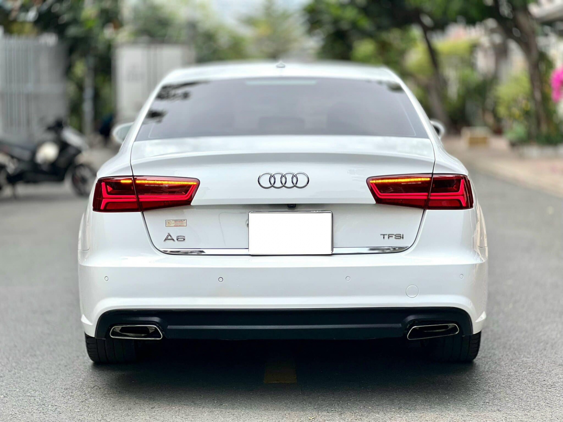 417721840_10230753522398700_422161436453443339_n