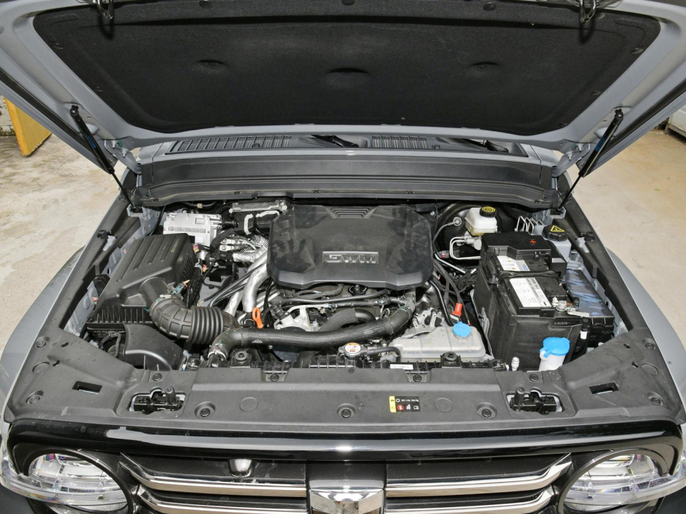 Tank 300 - SUV địa hình đẹp không kém Mercedes G63, giá quy đổi gần 700 triệu đồng 394918