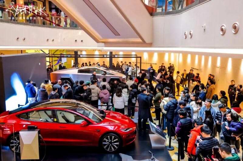 cyber_4-transformed-800x530