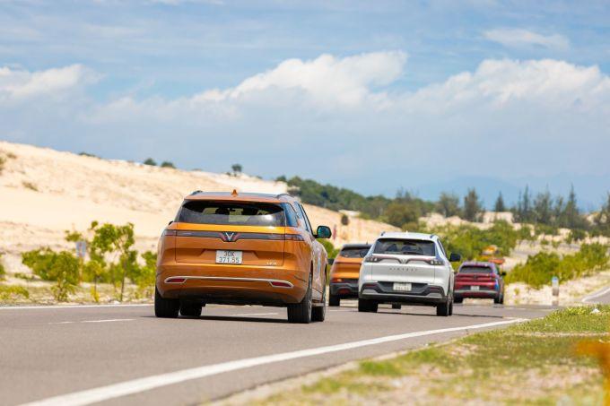 Anh-2-6251-1711439792