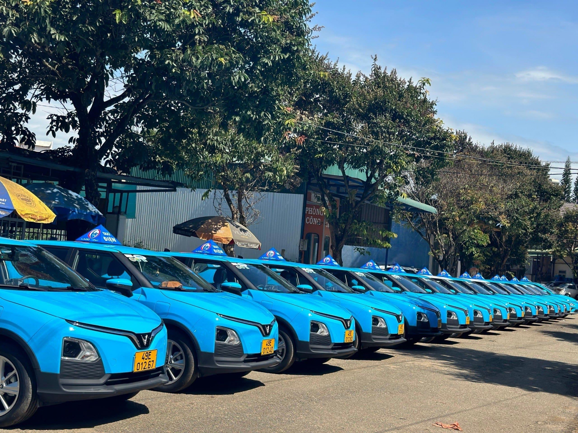 Lado Taxi tiếp tục mua và thuê thêm hàng ngàn xe điện VinFast 432447