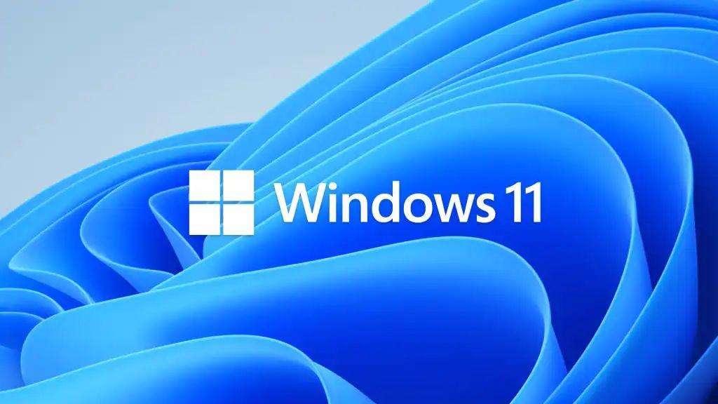 Windows-11-logo-bloom-1_result