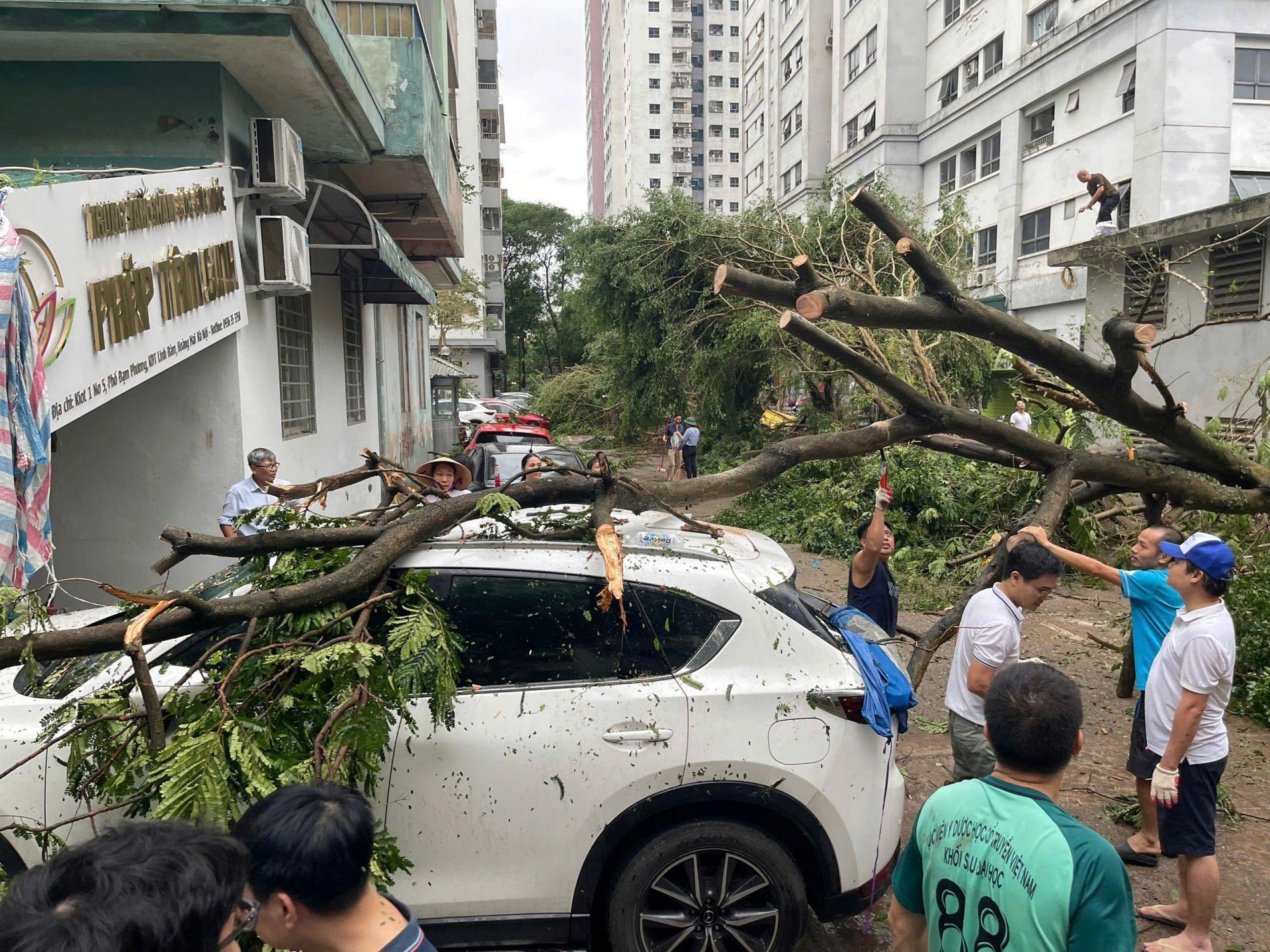 Xót xa cảnh tượng hàng loạt ô tô bị cây xanh đè bẹp tại Hà Nội do bão Yagi 524578