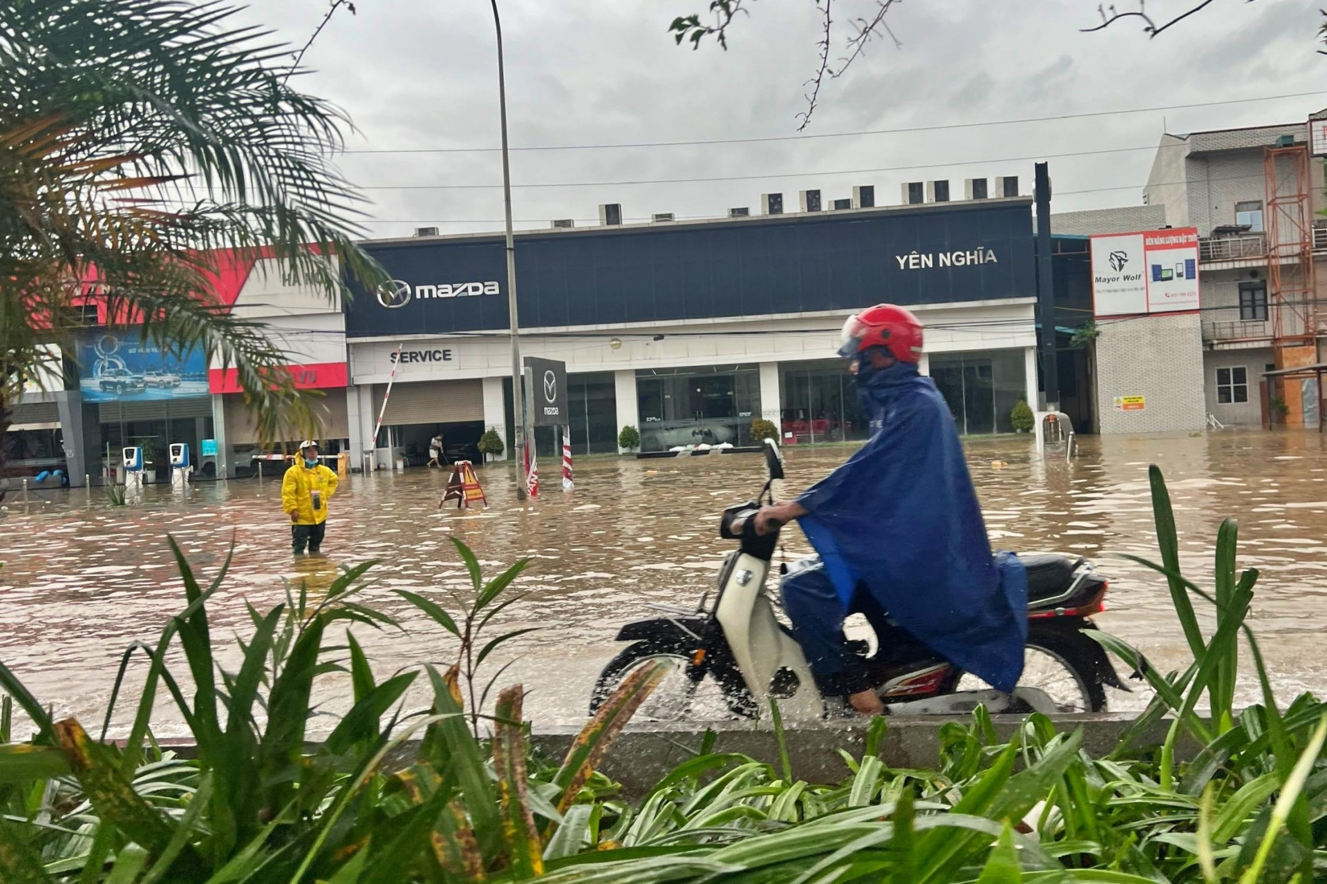 Đường phố Hà Nội tan hoang sau trận 'càn quét' của bão số 3 Yagi 524503