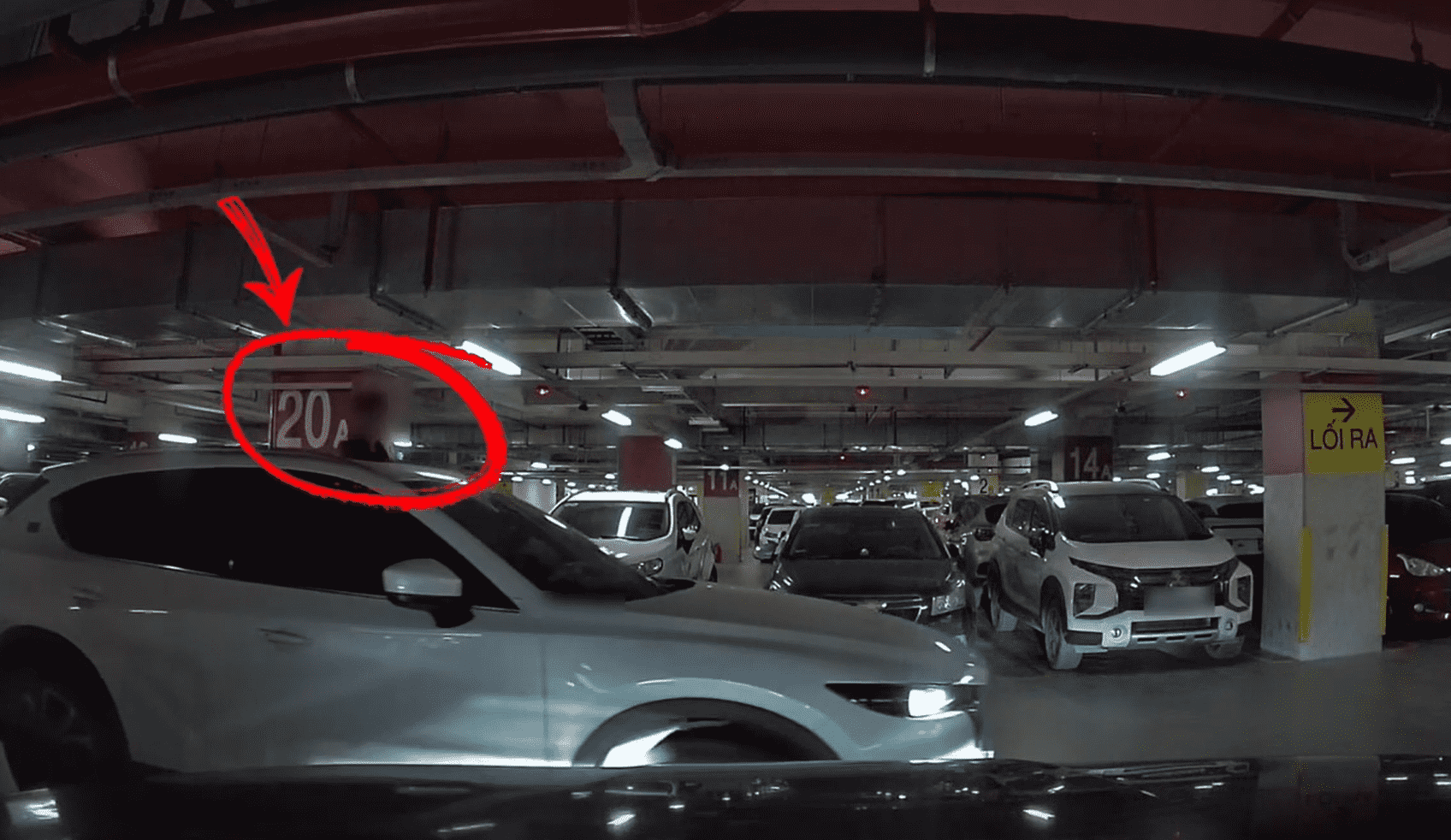 Đứng thò đầu qua cửa nóc ô tô: Niềm vui nhất thời, rủi ro khôn lường