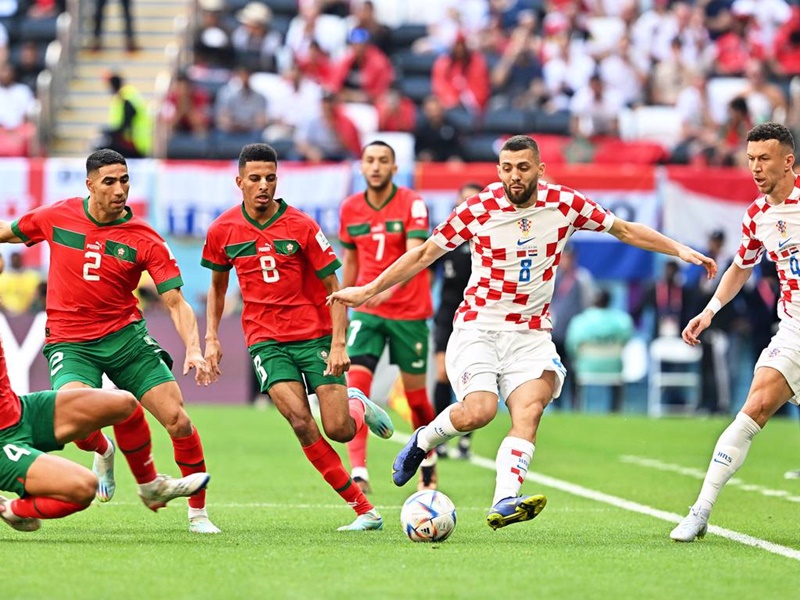 Mèo tiên tri dự đoán kết quả Croatia vs Canada: Lựa chọn chính xác! 223698