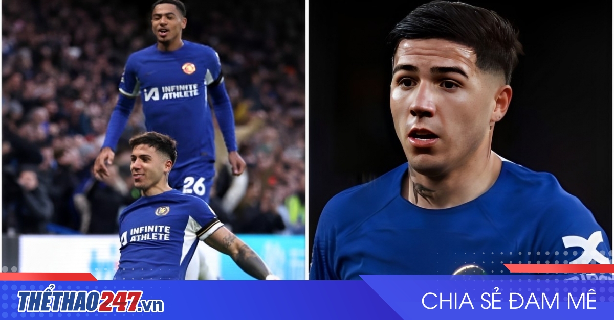 Levi Colwill tiết lộ phản ứng của đồng đội về lời xin lỗi từ Enzo