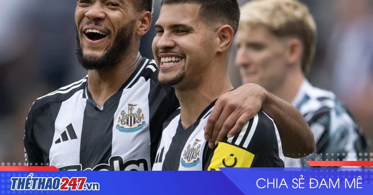 Phân tích phần trăm kèo châu Âu round Nottingham Forest - Bournemouth Cùng sòng bạc OK365 – Những Dự kiến vứt ra tiết và cách bài xích bản đắm say