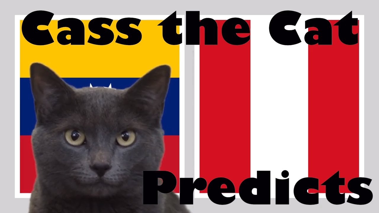 Dự đoán Venezuela vs Peru, Soi kèo Venezuela vs Peru, Venezuela vs Peru, Kèo Copa America, Tỉ lệ kèo Venezuela vs Peru, Dự đoán kết quả Venezuela vs Peru