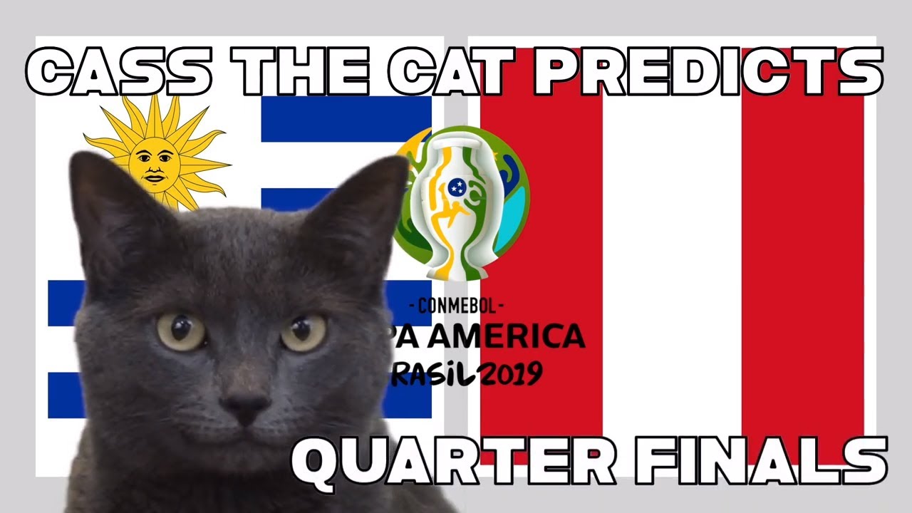dự đoán Uruguay vs Peru, soi kèo Uruguay vs Peru, Uruguay vs Peru, copa america, mèo tiên tri dự đoán Uruguay vs Peru, Uruguay, Peru