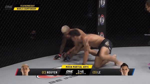 VIDEO: Trận MMA hay nhất năm 2020 giữa Thành Lê và Martin Nguyễn
