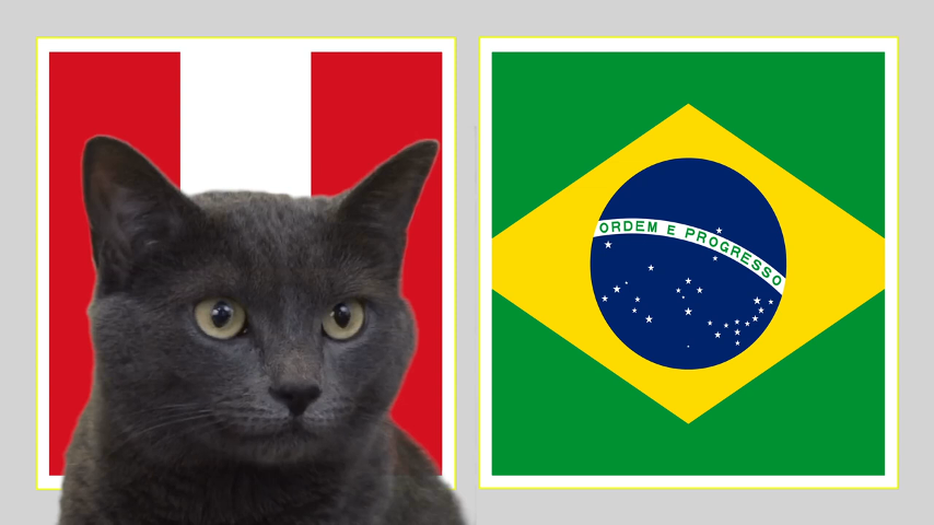 dự đoán peru vs brazil, soi kèo peru vs brazil, peru vs brazil, brazil, peru, copa america, copa 2019, nhận định peru vs brazil