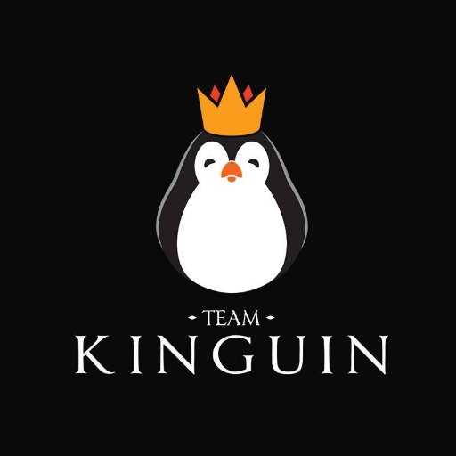 Team Kinguin