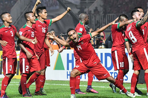 AFF Cup 2018, tin tức AFF Cup 2018, bóng đá Indonesia, ĐT Indonesia