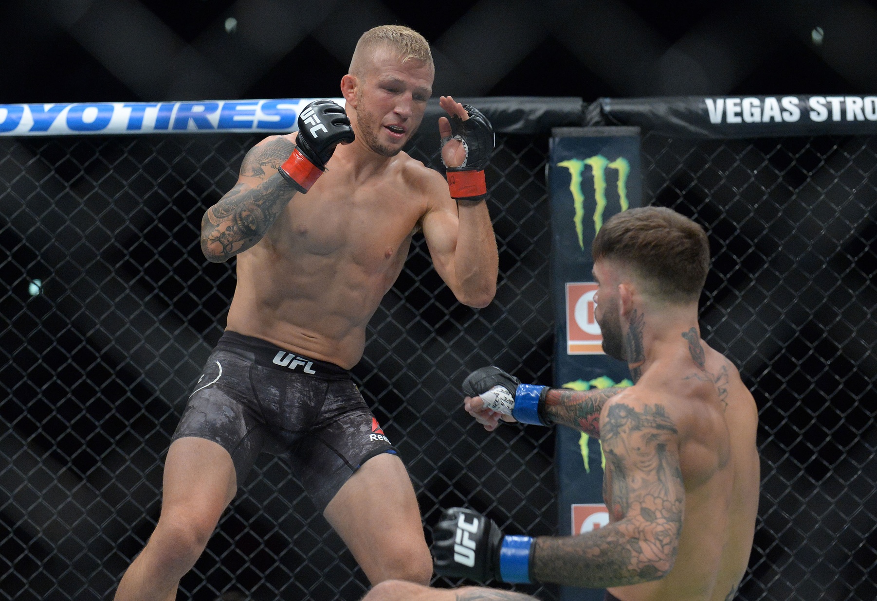 UFC 227, TJ Dillashaw, đối thủ tiềm năng, Cejudo, Demetrious Johnson