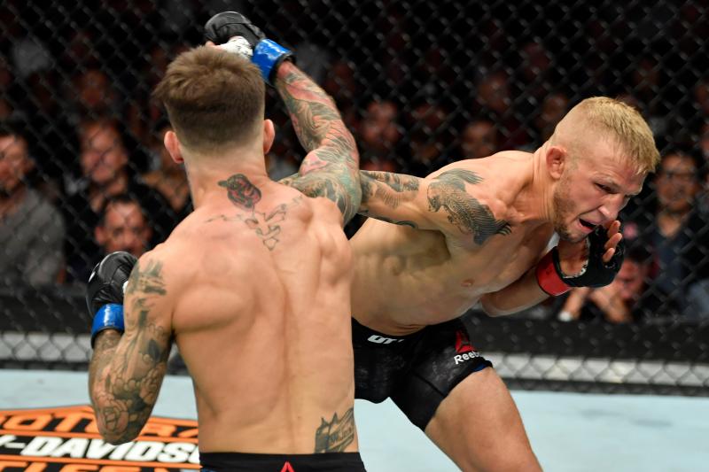 UFC 227, TJ Dillashaw, đối thủ tiềm năng, Cejudo, Demetrious Johnson