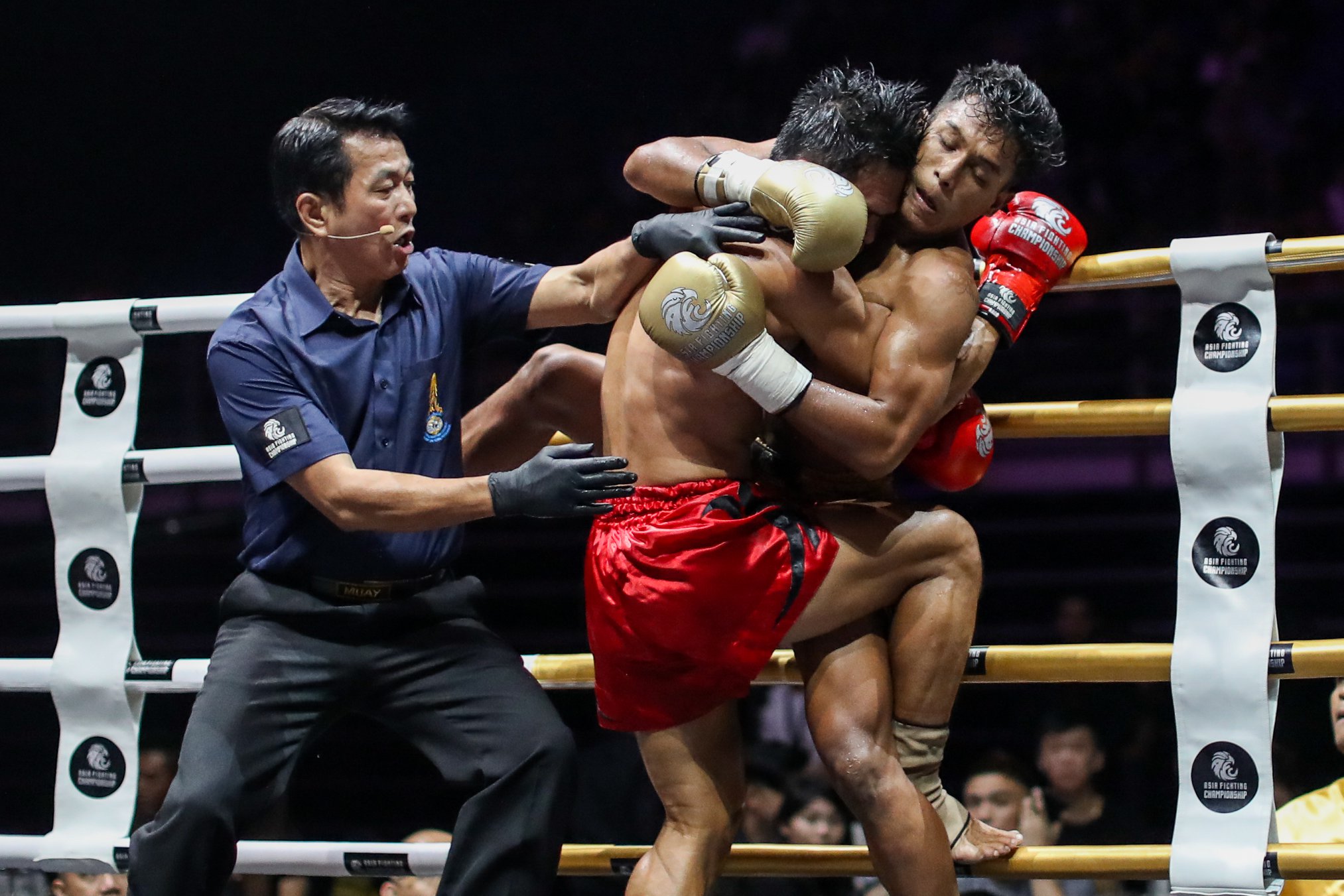 độc cô cầu bại Duy Nhất,  buakaw việt nam, võ văn đài, asian fighting championship 2, muay việt nam,