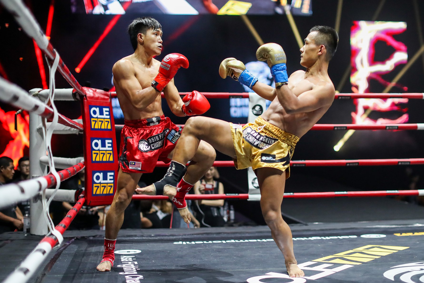 độc cô cầu bại Duy Nhất,  buakaw việt nam, võ văn đài, asian fighting championship 2, muay việt nam,