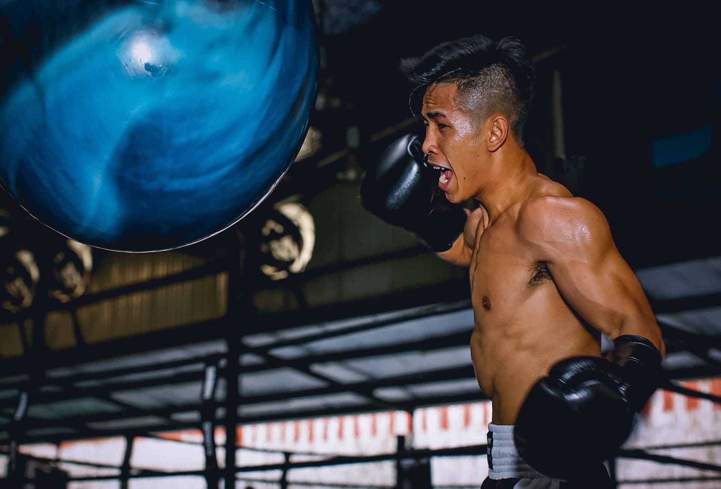 boxing, boxing việt nam, trần văn thảo, thao tran, thảo trần, 