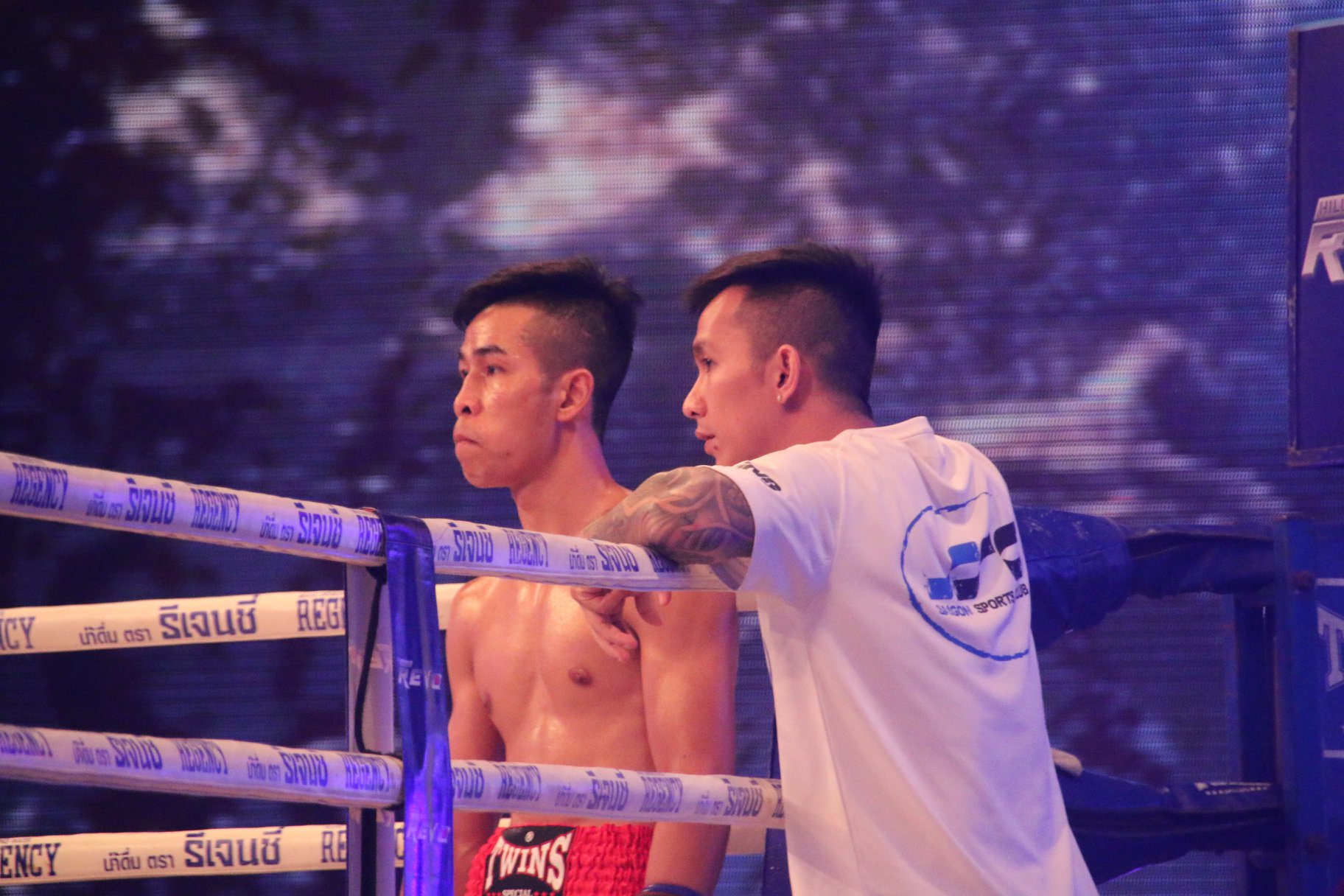 boxing, boxing việt nam, trần văn thảo, thao tran, thảo trần, 